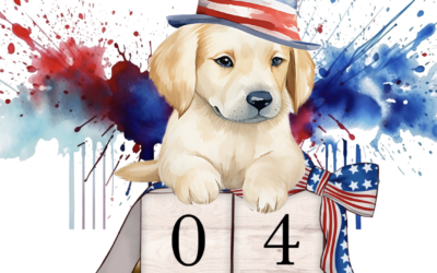 Keep our Furry Friends Safe This 4th